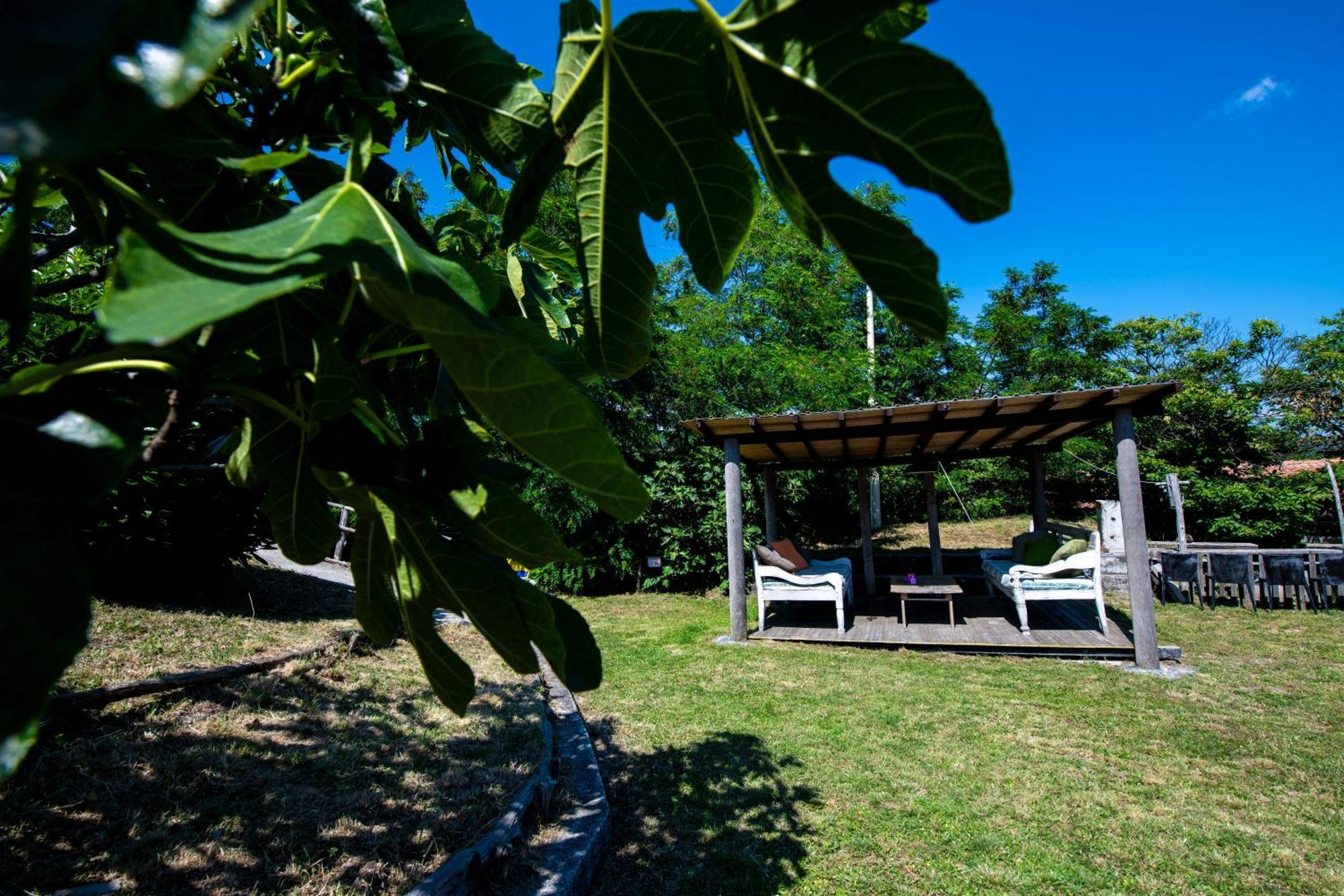 211 - Appartamento Acacia, Terrazza Giardino E Piscina Carro 外观 照片